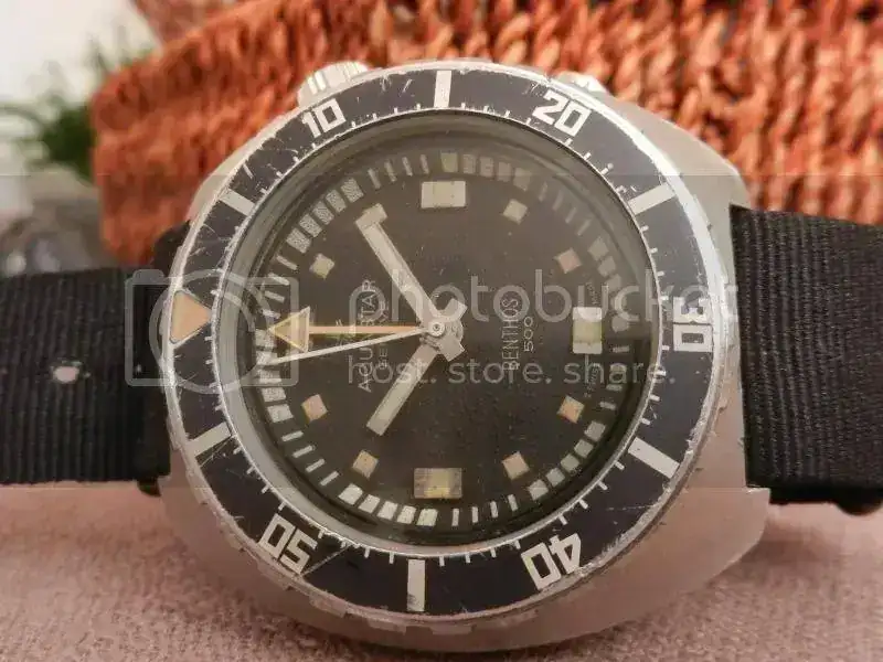 Benthos500.webp