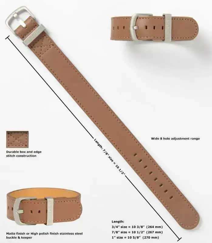 BERTUCCI DX3-L-BIGx.webp