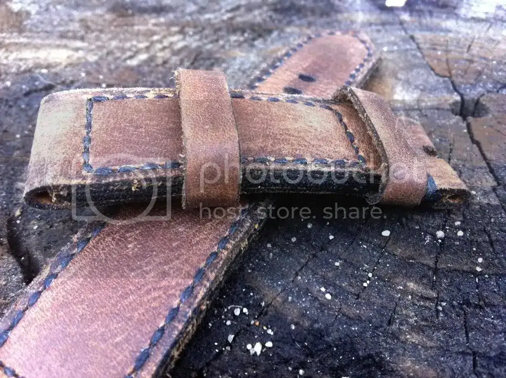 -BFC9-455F-9505-AA977F633A8A-4013-00000AEAD8F6CD3C.webp