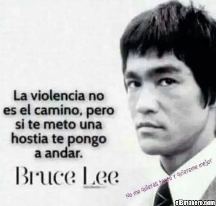 bfe48bef2efb158637f058d01663d3f4.webp