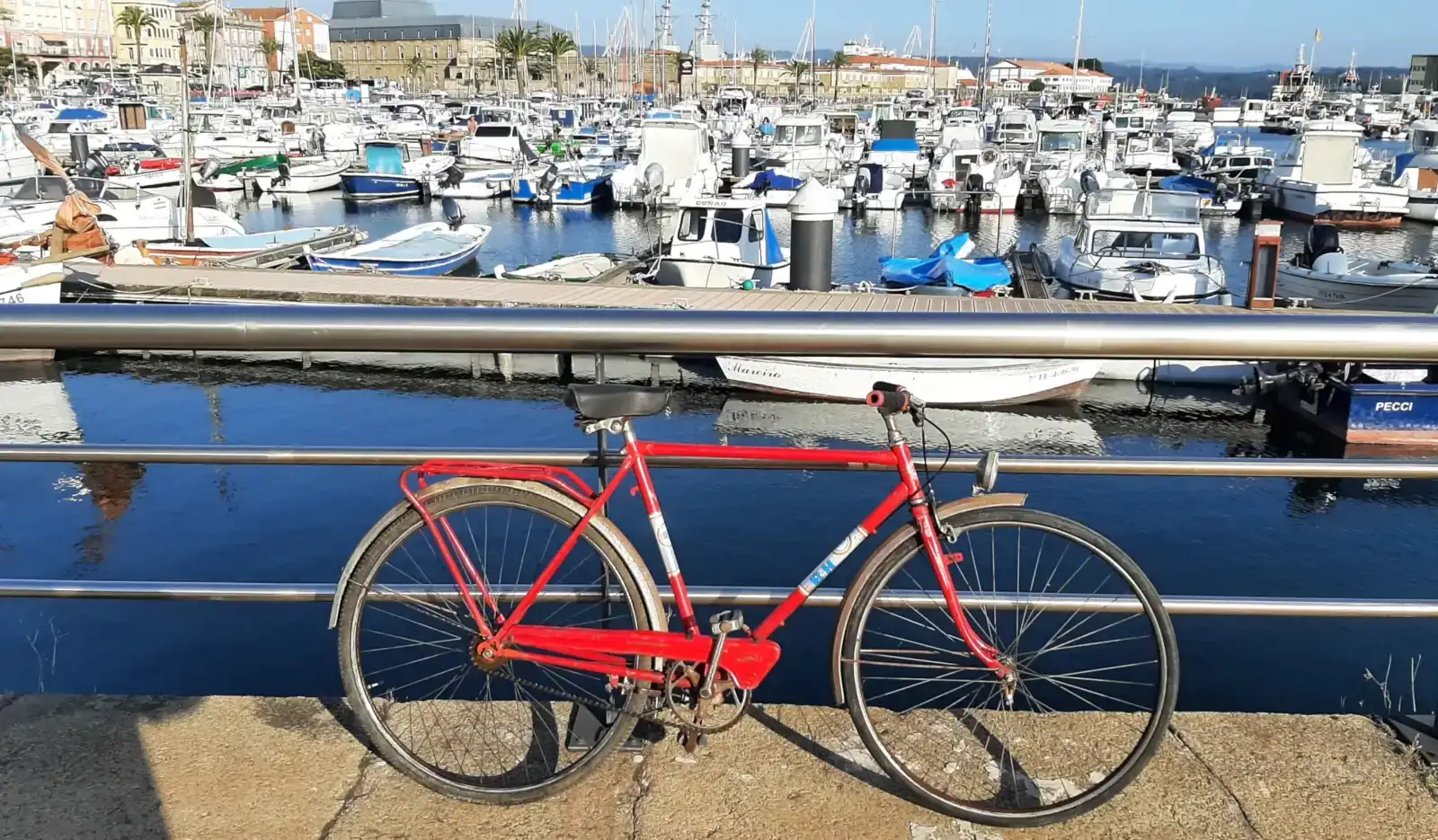 BH mod. S20 28-700_20240821_192753.webp