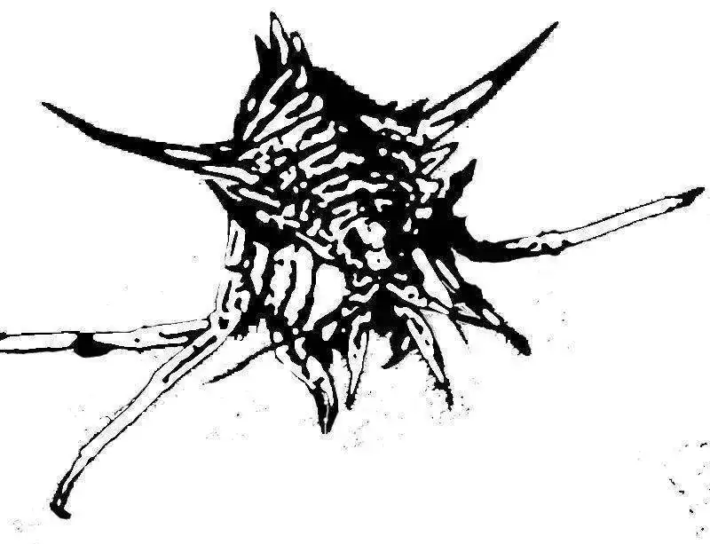 bicho baikal.webp