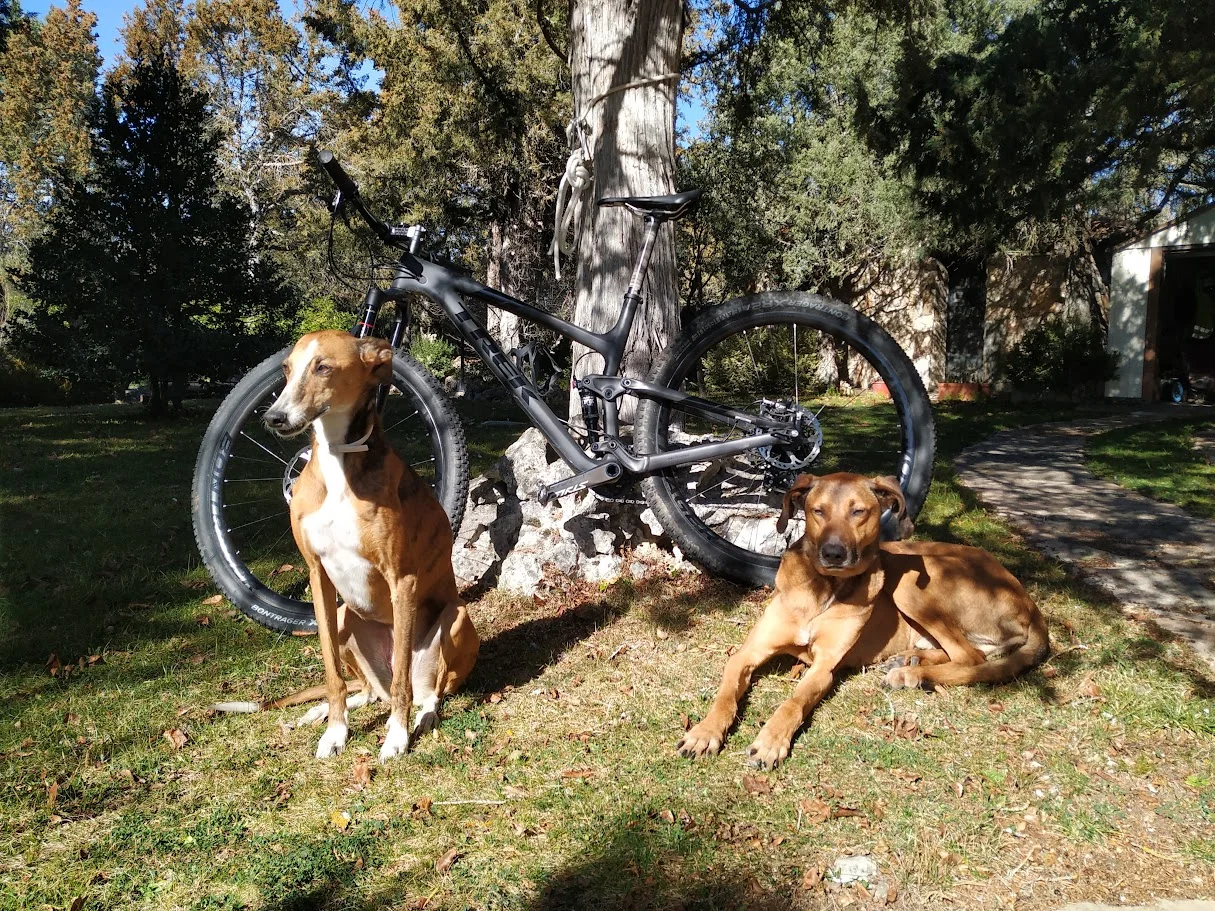 bici.webp