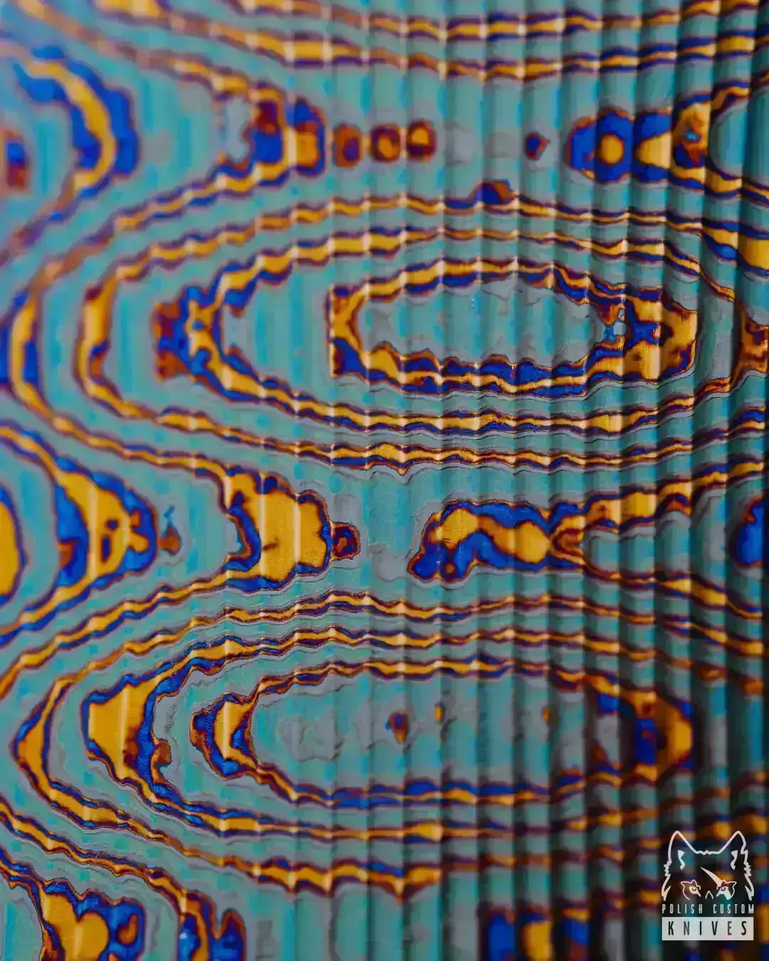 big_-DSC5609-3.webp