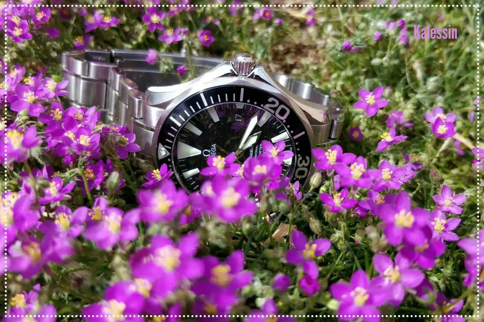 bIXY55h.webp