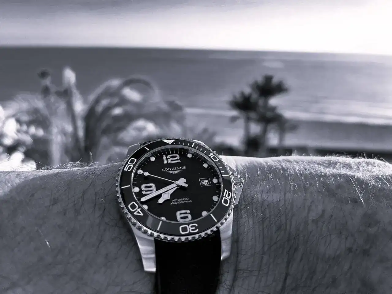 blanco y negro.webp