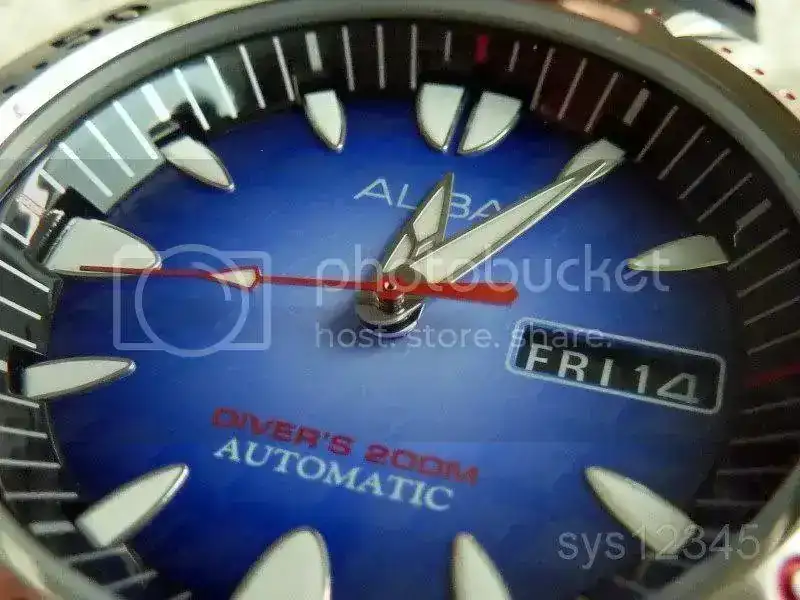 BlueManta4.webp