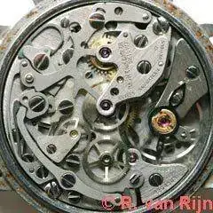 BM_12873.webp