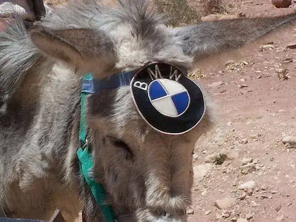 bmw-mule-1_600x0w.jpg
