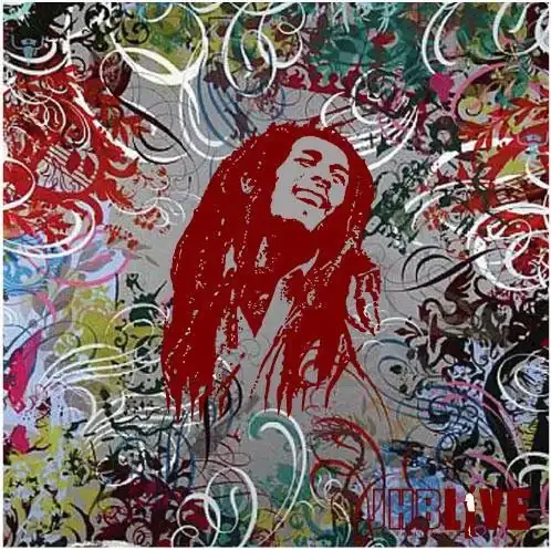 bob-marley-jhb-live.webp