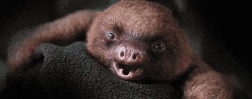 bostezo-bostezar.gif