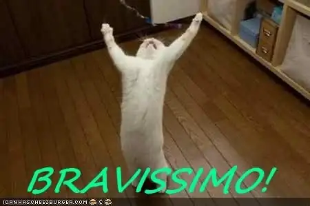 bravissimo.webp