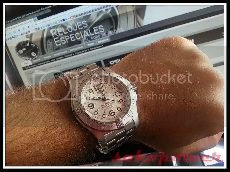 bsteelfish_zpsa4d176e9.webp