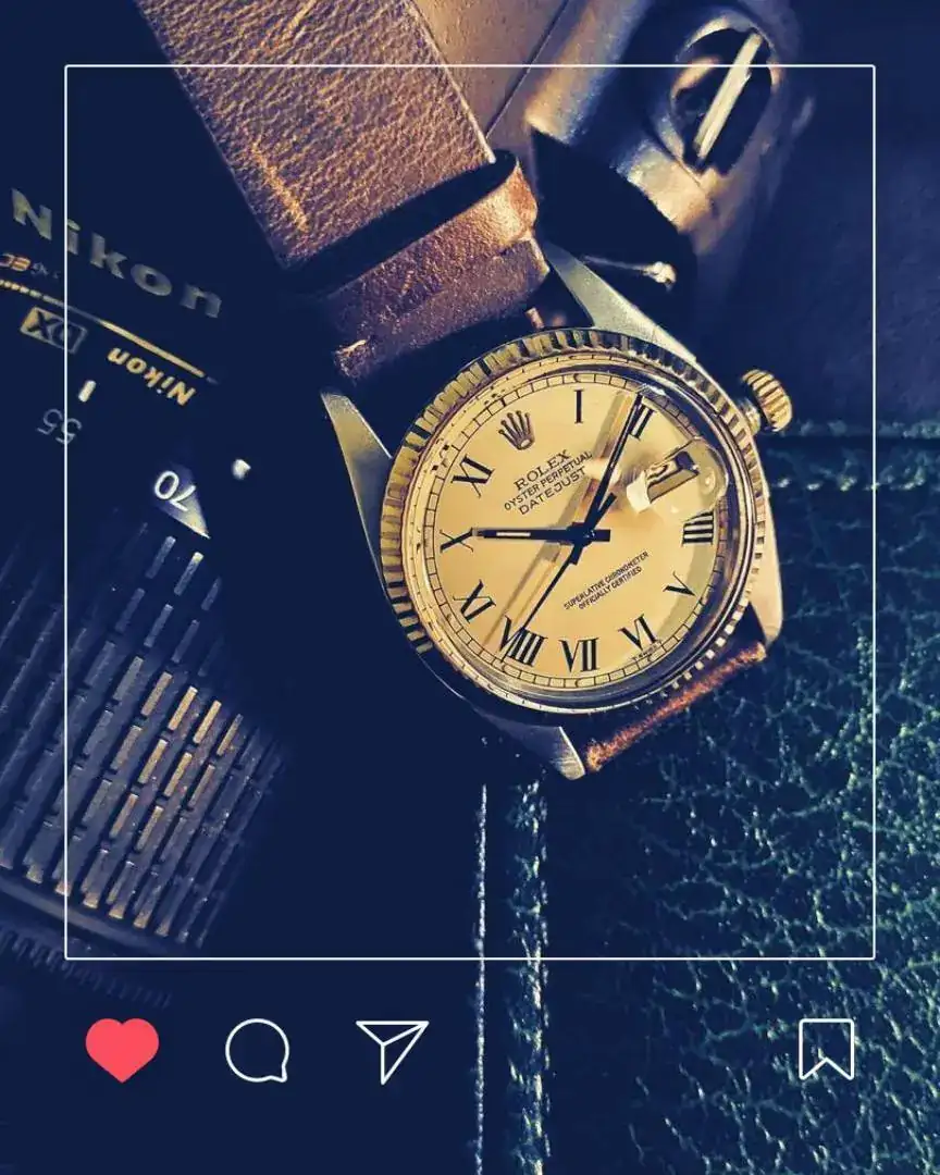 buckleynikon.webp