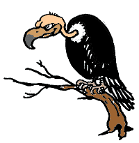 buitre.gif