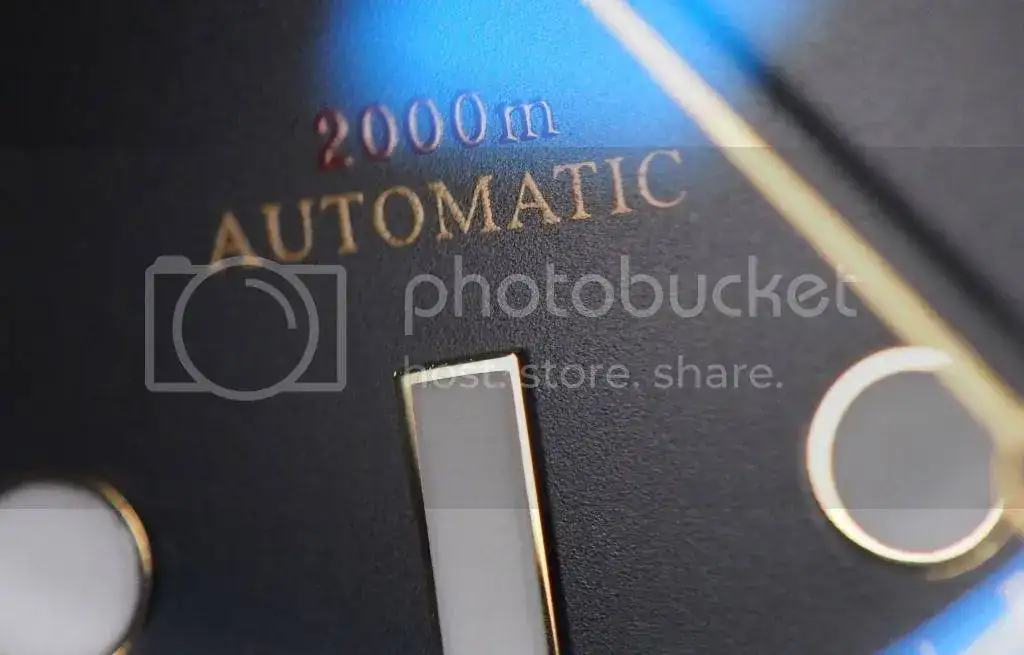 bull67_zpswdywqglg.webp bull67_zpswdywqglg.webp