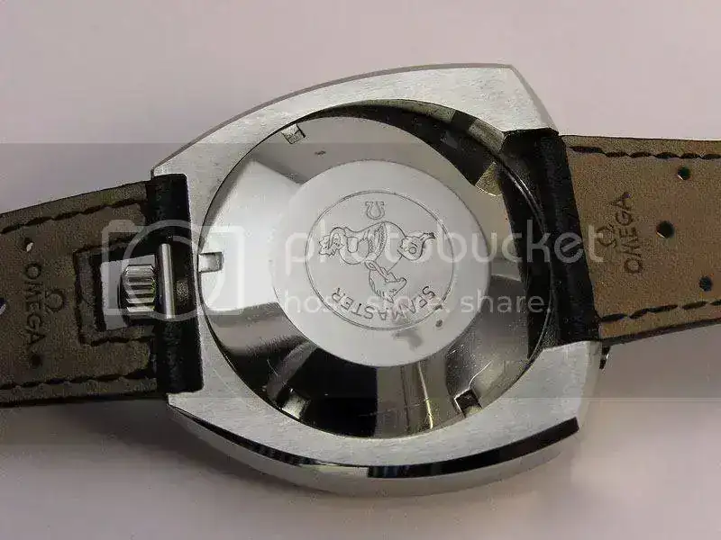 bull_bak_zps9290e3cd.webp