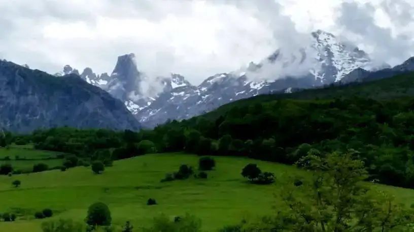 bulnes.webp