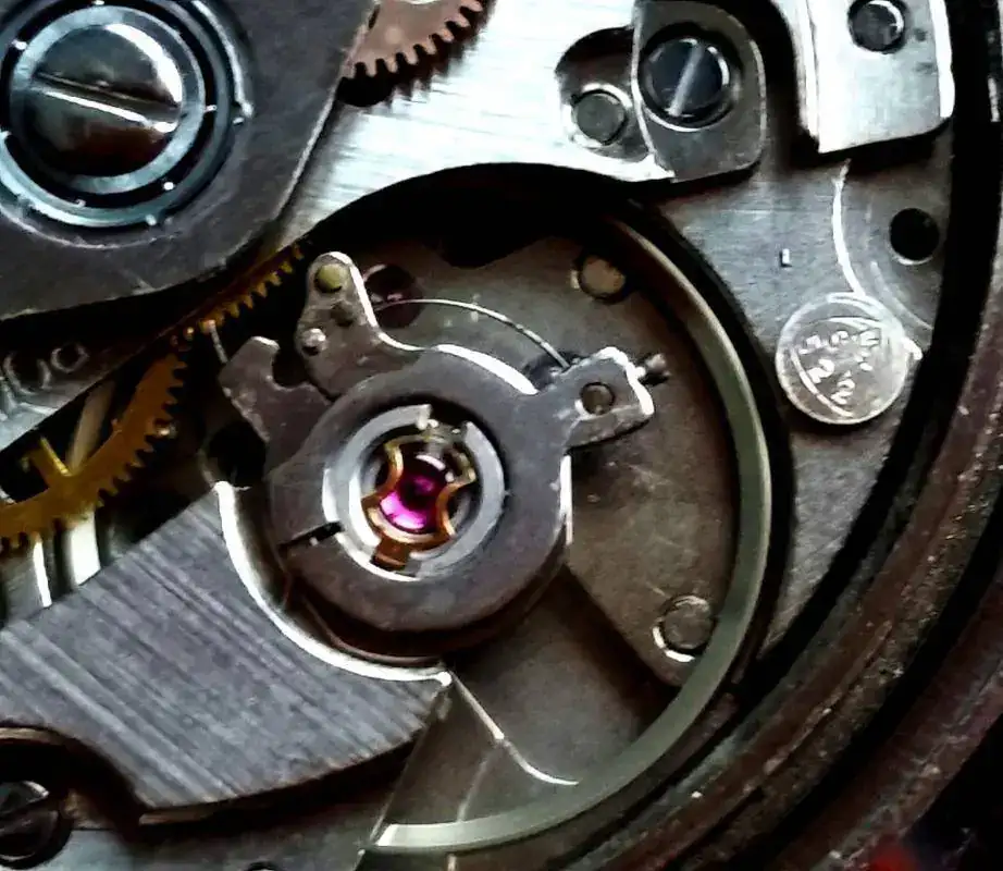 BUMPER 1210.webp