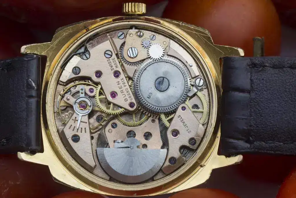 Buren 1000_IUG6258.webp