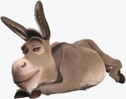 burro.jpg