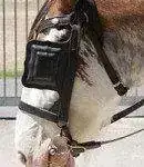 burro.orejeras.webp