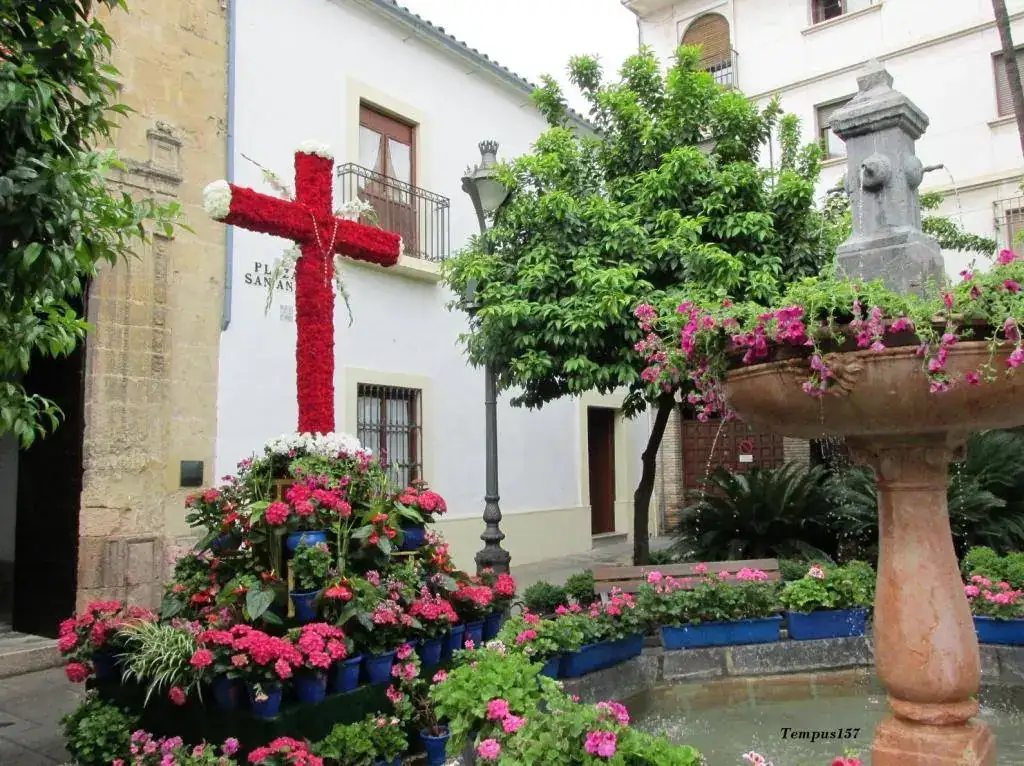 Córdoba-cruz_tempus157..webp