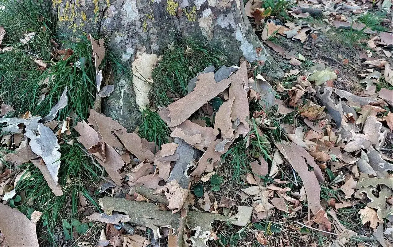 C20230819_092355.webp