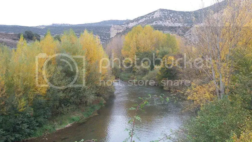 C360_2015-10-24-18-30-47-136_zpsxs1wsers.webp