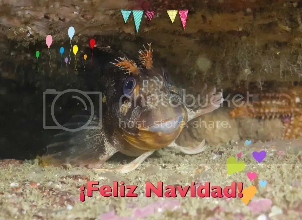 C4819CCA-4680-4625-BD88-8681D70A91CA_zpstxnr9hru.webp