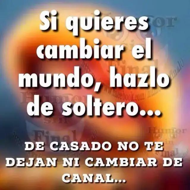 c49db81a504187cc28f35240fc76d443.webp