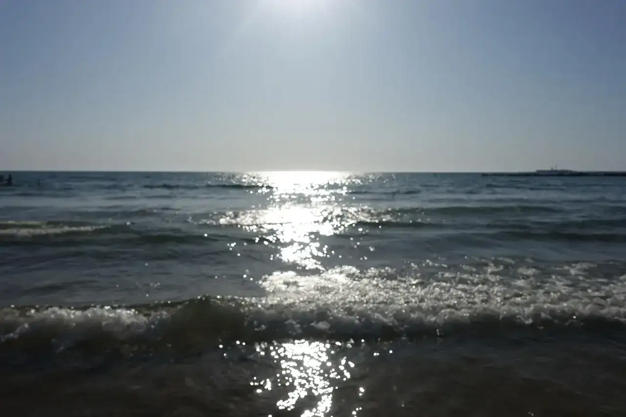 c4CGBJbx_o.webp