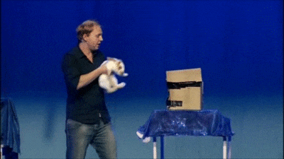 C5C0077E-DAE7-425B-ABE0-8B7B626906A4.gif