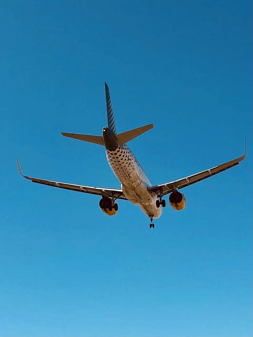 C6A342A4-2937-4F36-BCDD-C09C9CDE9A6A.webp
