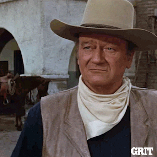 c6e0rmmtgblfsn10uohvz5mbix7xjxyivtd922fd&rid=giphy.gif
