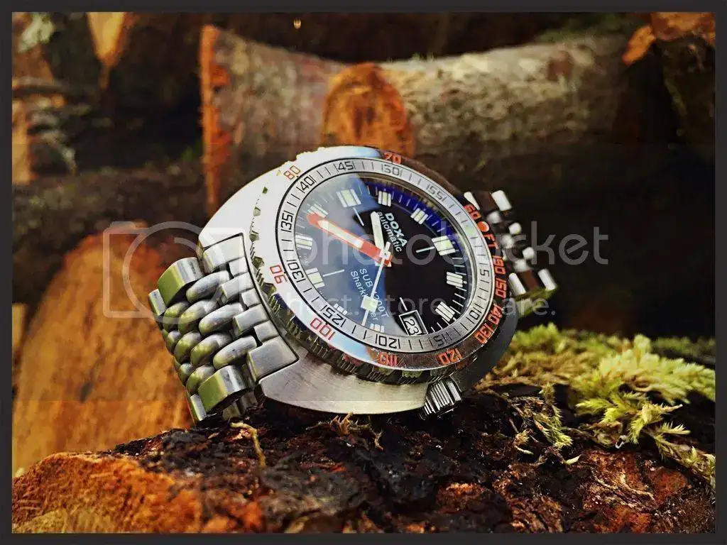C7783340-DF59-4AD2-B762-892078F4CBF2_zps88sclpqe.webp