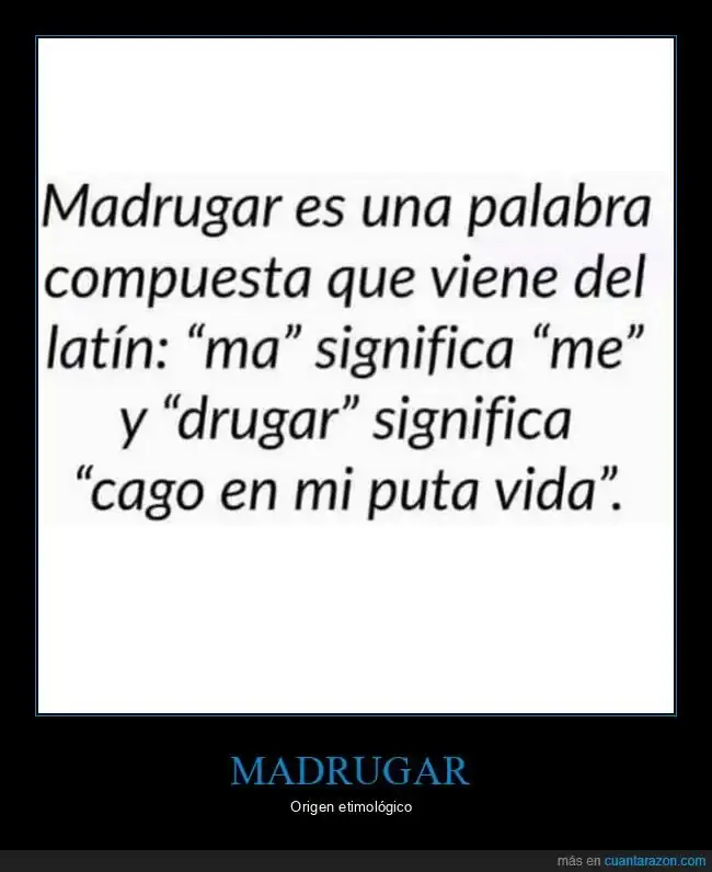 c7b7cee5edac45c9cd34f1e122ba808a4dd4f4d5.webp