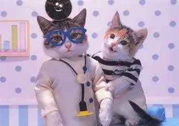 c8eda07aaeaef1064a3072f12463cb91.webp