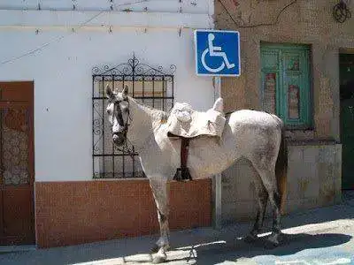 caballo+mal+aparcado.webp