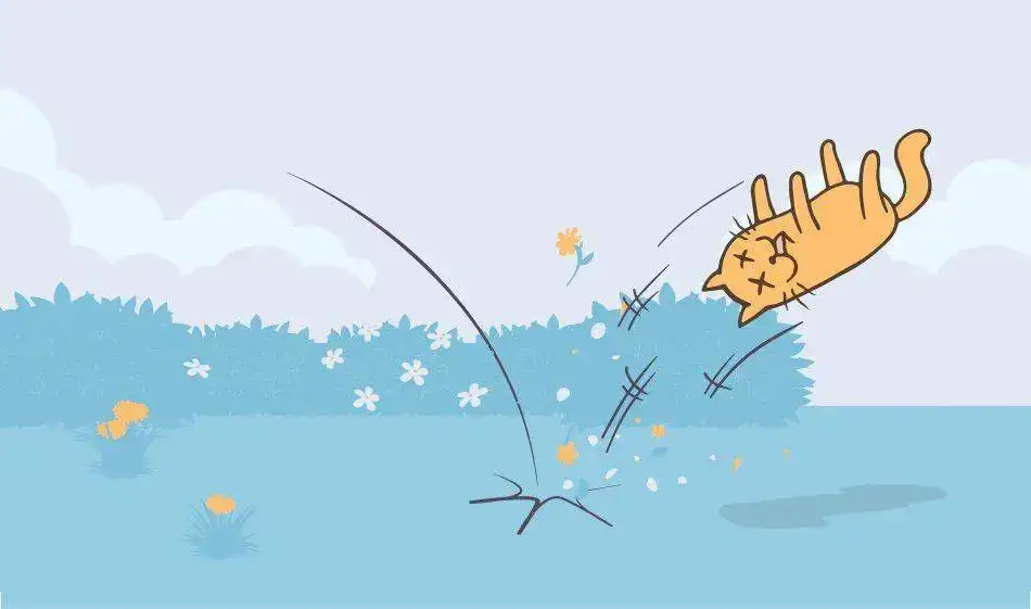 cabecera_blog_gato.webp