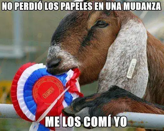 CABRA.webp