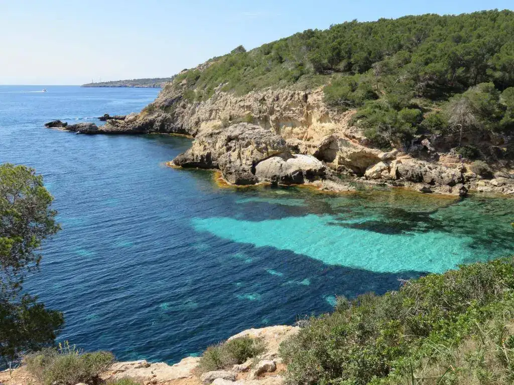 Cala Cap Falcó _ Mallorca.webp