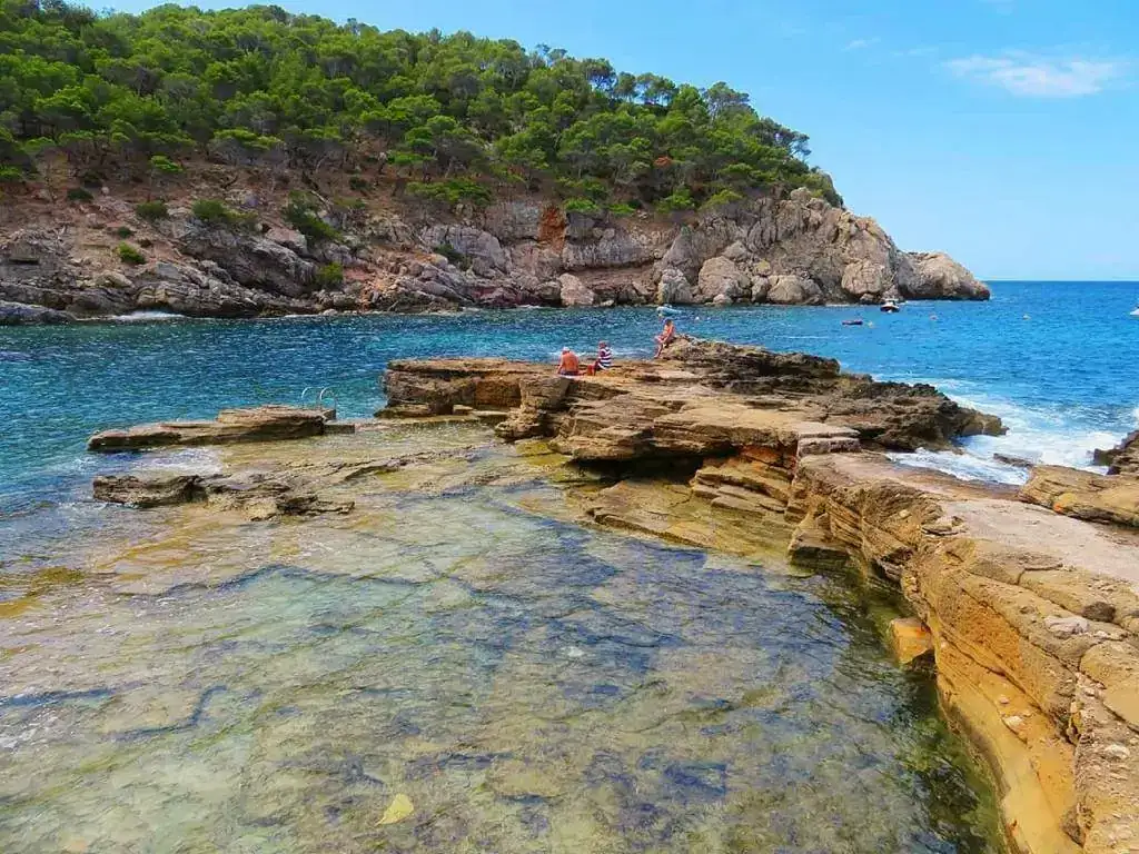 Cala Conills _ Mallorca.webp
