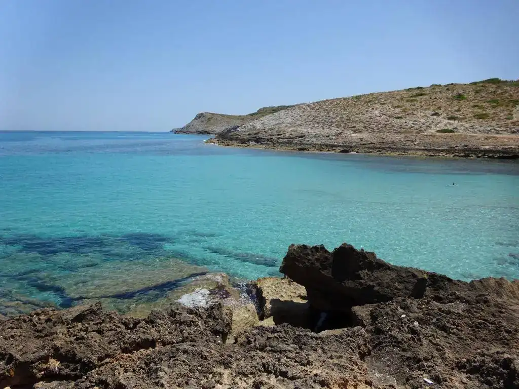 Cala Mitjana Mallorca.webp