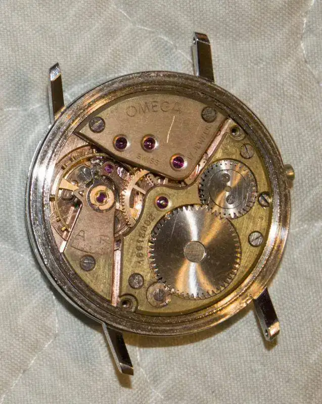 Calibre Omega Papa.webp