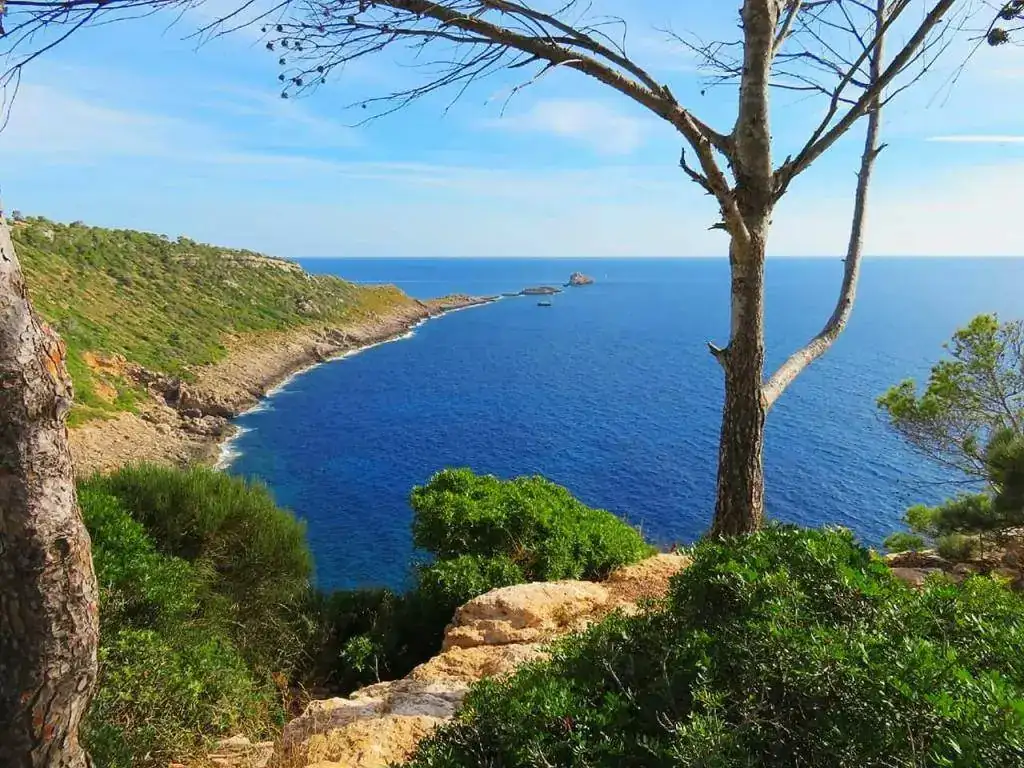 Calviá _ Mallorca.webp