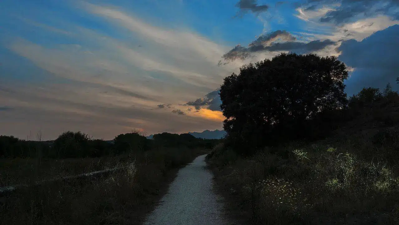 camino hacia el sol.jpg
