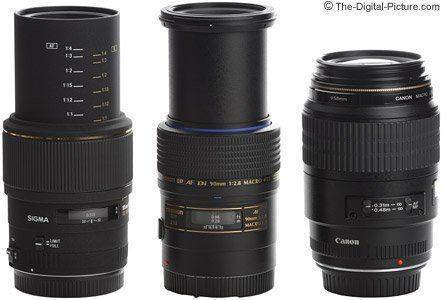 Canon-Sigma-Tamron-Macro-Lens-Extended-Comparison.jpg