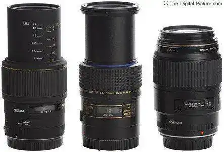 Canon-Sigma-Tamron-Macro-Lens-Extended-Comparison.webp