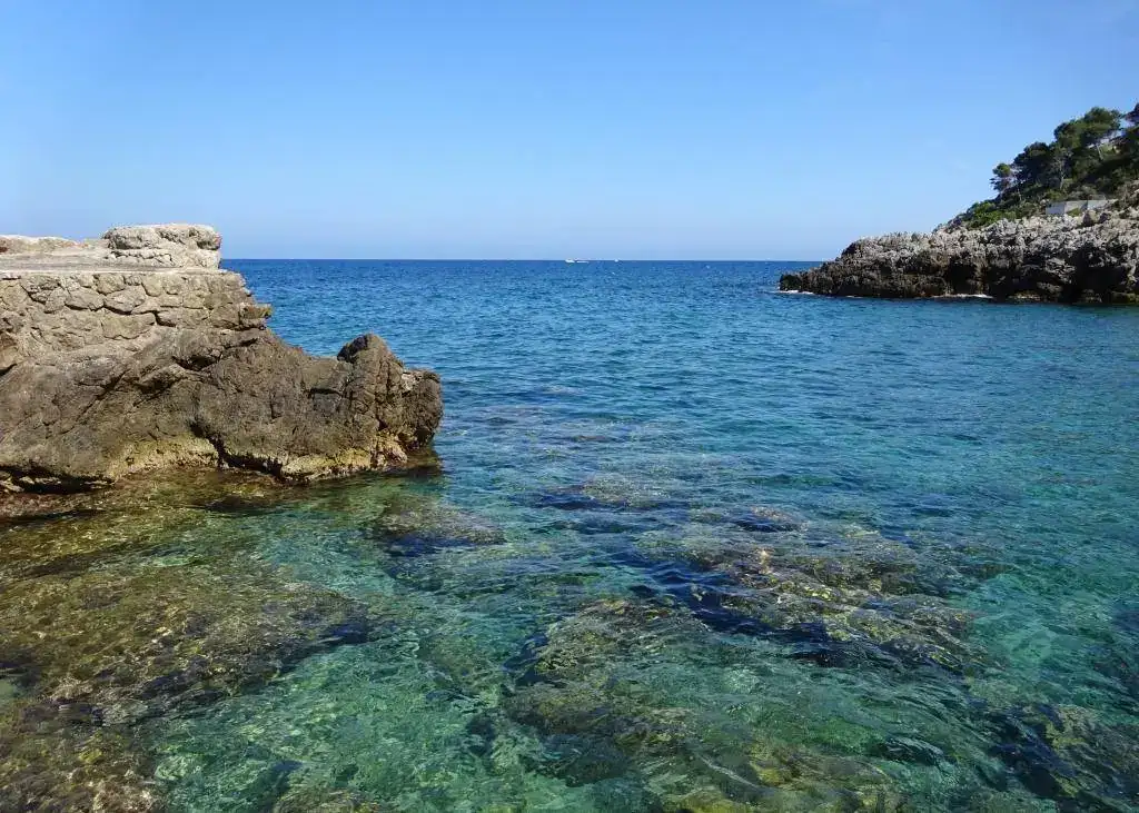 Canyamel _ Mallorca.webp